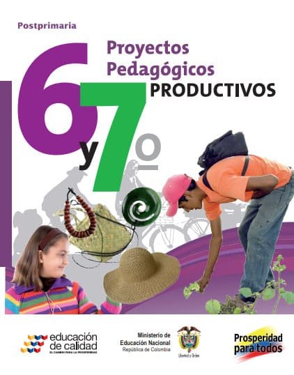 Proyectos Pedagógicos Productivos Grado 6 y 7 Postprimaria